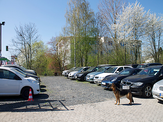 Valet-Parking Auto-Aufsicht Valet-Service