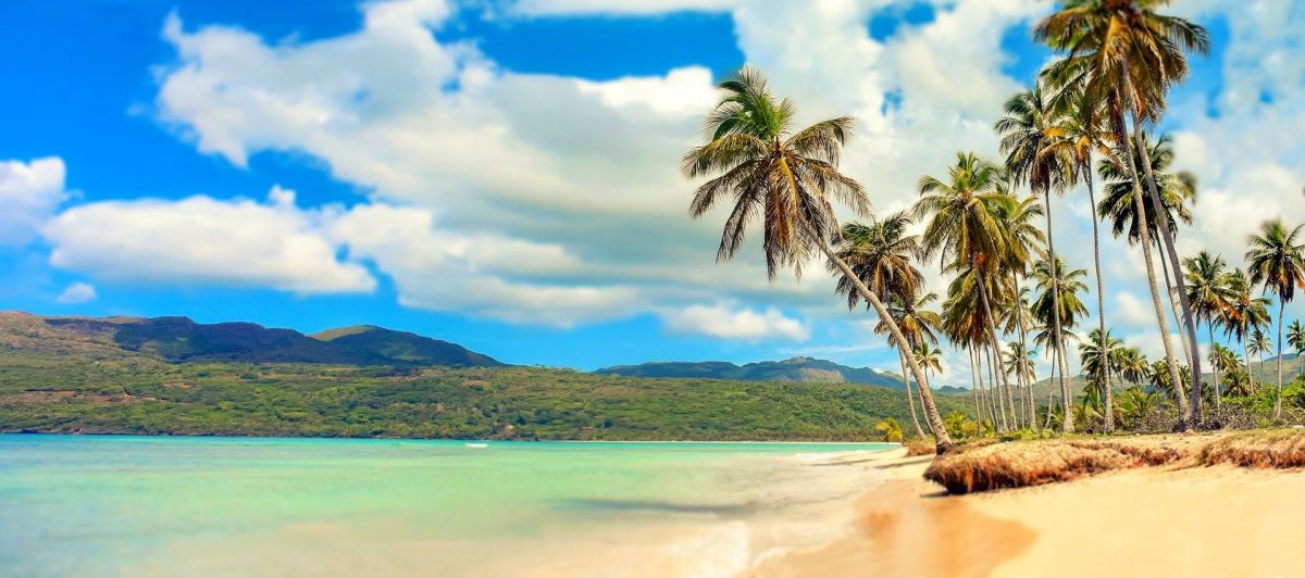 DomRep