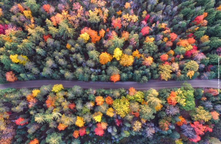 Herbst_cr2_klein