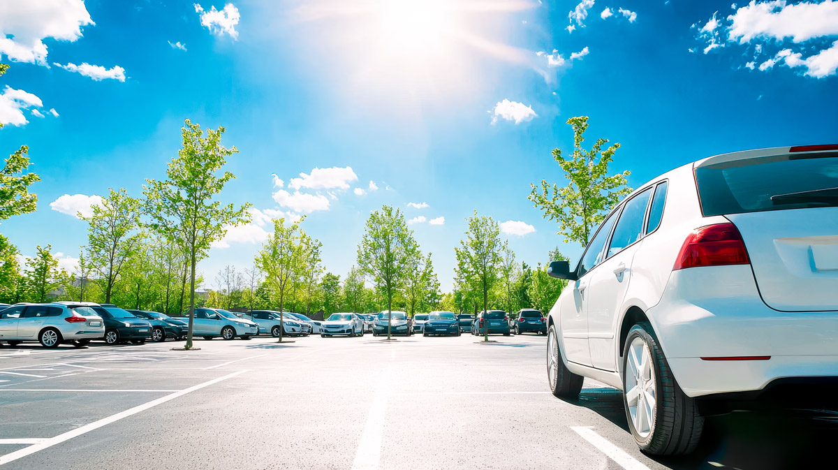 Parkplatz mit mehreren Autos und jungen B&auml;umen bei strahlendem Sonnenschein
